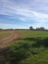 Plateau Road photo